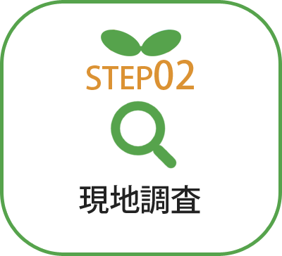現地調査